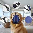 Dog Muzzle - Soft Breathable Mesh Nylon Adjustable Muzzle for Small Medium Large Dogs Prevents Chewing,Biting & Scavenging | Allows Panting, Drinking & Grooming | Secure Collar Strap Design(Blue XXL)