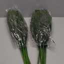 kuaima Christmas Cedar Garland, 6 FT Artificial Realistic Winter Evergreen Greenery Cypress Garland Real Touch for Indoor Outdoor Christmas Decoration, 1 Pcs