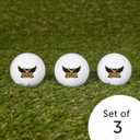 Desert Cactus Kennesaw State University Golf Balls 3 Pack Full Color Golf Ball (Design B)