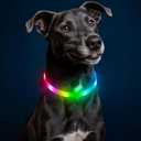 HIGO RGB LED Dog Collar Light - USB Rechargeable Light Up Dog Collars, Safety LED Dog Necklace for Your Dogs Walking at Night (Multi-Color)