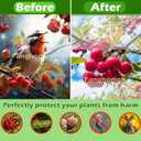 2 x 2 Pack Plant Netting Bags, Ultra-fine Mesh Insect Protection for Blueberry, Tomatoes, Fruit Trees (4 ft x 5.9 ft) - Drawstring