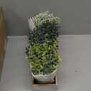 Winlyn Set of 3 Mini Potted Artificial Eucalyptus Plants Faux Rosemary Plant Assortment with Wood Planter Box for Indoor Office Desk Apartment Wedding Tabletop Greenery Decorations 8.7" Tall