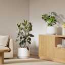 LE TAUCI 12 Inch Pots for Plants, Ceramic Plant Pots with Drainage Holes and Saucers, Elegant and Durable Large Plant Pot, Perfect for Home & Office Decor, White
