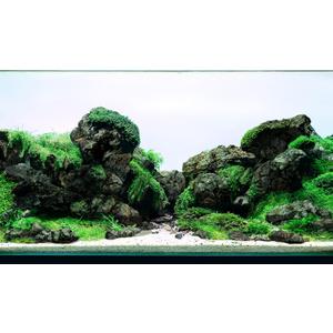 LANDEN Black Icelandic Lava Stone Natural Rocks (18lbs, 3~11 inches,11pcs) for Aquariums, Paludariums, Terrariums, Caves and Rocky Peaks, Mountainous Desert Landscapes LANDEN Black Icelandic Lava Stone Natural Rocks (18lbs, 3~11 inches,11pcs) for Aquariums, Paludariums, Terrariums, Caves and Rocky Peaks, Mountainous Desert Landscapes