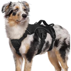 Rabbitgoo Escape Proof Dog Harness, Soft Padded Full Body Pet Harness, Reflective Adjustable No Pull Vest with Lift Handle and Leash Clip for Large Dogs Walking Hiking Training, M, Black