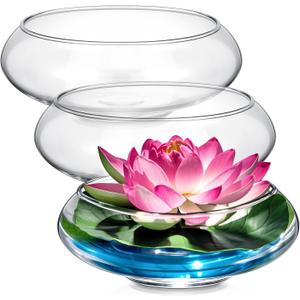 Baderke 3 Pcs Hydroponic Planter Lotus Flower Pot Planter Lotus Bowl Clear Glass Fish Bowl Vase for Planting Indoor Home Decor Water Lily Narcissus Planting Water Lily