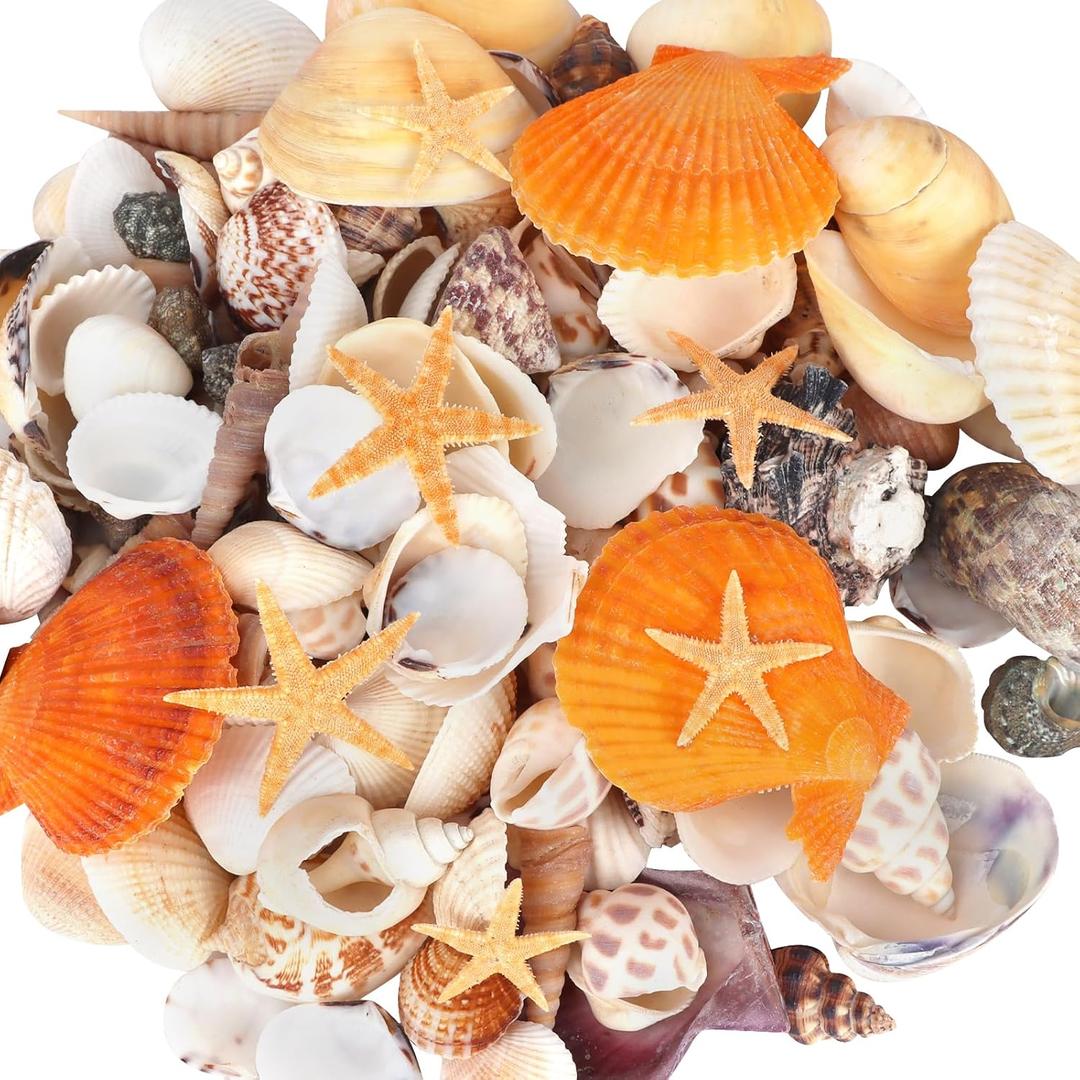 WEOXPR Mixed Sea Shells, 150+ Pcs Beach Seashells Starfish, Various Sizes Ocean Seashells for Fish Tank Vase Fillers, Beach Theme Party Wedding Decor, Candle Making, DIY Crafts