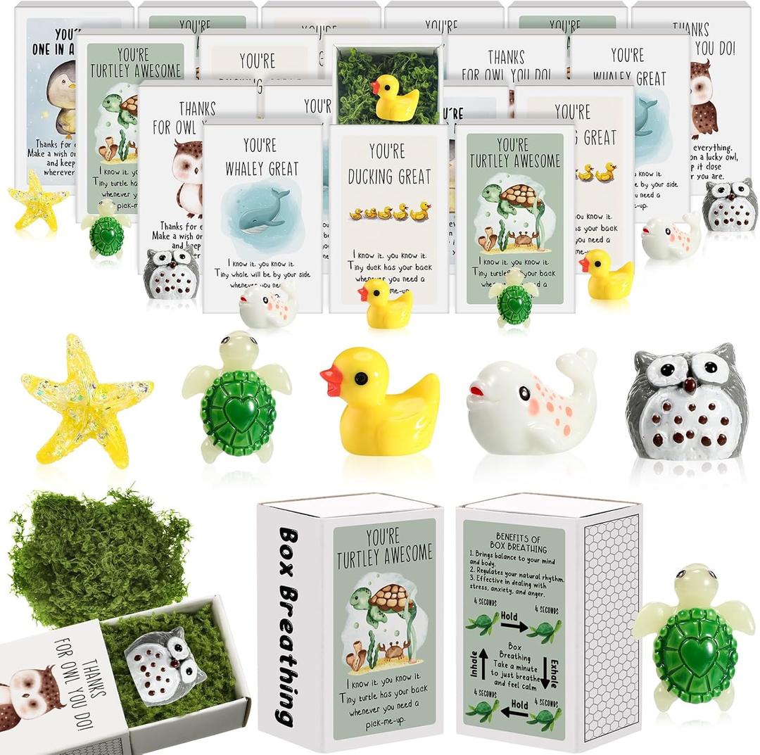 75 Set Employee Appreciation Gifts for Coworkers Bulk Thank You Staff Gifts Small Desk Pets Inspirational Card Box Cute Funny Resin Positive Ornaments School Office Party Favors