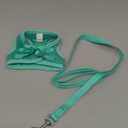 Fida Cat Harness and Leash Set for Walking Kitten and Puppy, Escape Proof Kitten Harness with Breathable Lightweight Soft Mesh, Adjustable Reflective Step-in Design. (XXXS, Green)