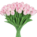 MACTING 30PCS Artificial Tulip Flowers - 13.7" Real Touch Fake PU Tulips Bouquet Faux Spring Flowers for Floral Arrangements Table Centerpiece Kitchen Home Mothers Day Easter Summer Decorations(Cream)