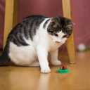 POPETPOP Cat Candy Snacks 5-Pack Lickable Catnip Treat Balls for Cats - Indoor Wall-Mounted Catnip Lollipops Promoting Hydration Urinary & Oral Health - Random Flavors