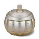 Scented Candles for Home Decoration - Aromatherapy Candles - Pumpkin Shaped - Cranberry Pumpkin | Thanksgiving Candle Gift Natural Soy Wax Candles