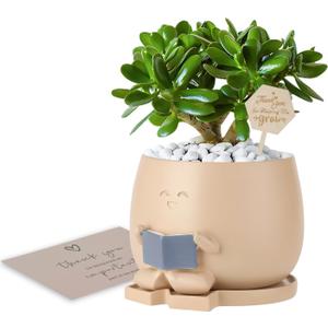 Bookworm Planter Pot with Drainage Cute Plant Pots for Succulents & Small Plants | Teacher Gifts Housewarming|Book Lover Gift, Indoor Planters | Christmas Teacher Gift Mother Dad Appreciation