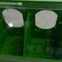 2 Pack Pigeon Plastic Feeder Bird Slot Feeder Dove Food Feeding Hanging Box for Poultry Pigeon Parrot Budgie Parakeet Cage (Three Holes)