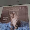 Turner Licensing, Rachael Hale Loveable Cats 2026 Wall Calendar