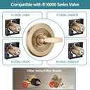 Shower Trim Kit Replacement for 13/14 Series, Shower Cover Plate with Handle fit Champagn Gold, Shower Cover Plate with Handle (Valve& Catridge Not Inclued)