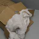 Cozy Bliss Faux Fur Throw Blanket for Couch, Fuzzy Soft Plush Thick Bubble Blanket for Sofa Bedroom Living Room, 60 * 80 Inches Cream White