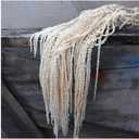 5Pcs Dried Preserved Amaranthus Hanging Flowers 35 Inches White Wisteria Vine Real Dried Flower for Wedding Bouquet Wall Decoration Home Decor