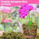 Riare 4.4LBS Premium Sphagnum Moss for Plants- 80QT Natural Dried Plant Moss for Potted Plants, Orchid Moss for Repotting, Soft Green Decorative Moss for Succulents, Reptiles & DIY Crafts