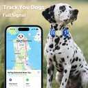 WhoseID Dog Collar with Waterproof AirTag Holder & Anti-Lost QR Code, Cute Bling Warpping Adjustable Width for Small Medium Large Pet (Yellow, L)