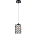 Trans Globe Lighting PND-1076 Sycamore Indoor Polished Chrome Rustic Pendant, 4 inch