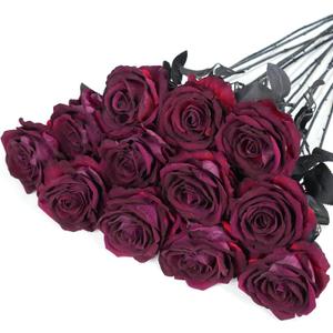 12 Pcs Fake Burgundy Roses Artificial Flowers with Long Stem, Goth Birthday Decorations, Gothic Wedding Decor, Halloween Dark Flower Arrangement,Faux Silk Rose Bouquet Realistic, Large (Wine Red)
