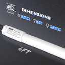 JESLED T8 LED Bulbs 4FT 12W 5000K, Type B Ballast Bypass, 2200LM, ETL | Designed to replace 40W fluorescent bulbs. Ballast bypass installation required. Single or double end powered, 30 Pack
