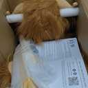 Baby Rocking Horse,Highlander Cattle Wooden Rocking Horse for Toddlers 1 Year Old Cute Cow Stuffed Plush Ride-on Toy Rocking Animal for Baby Boys and Girls Nursery/Child Christmas or Birthday Gift