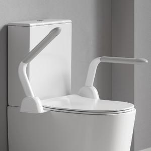Toilet Safety Rails for Seniors, Super Heavy Duty Handicap Toilet Rails with Foldable Handles, Space Saving, Stylish and Durable, Anti Slip Toilet Safety Frame with Arms for Seniors Disabled Pregnant