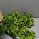 AVIVIHO 65 PCS Green Hydrangea Artificial Flowers Bulk Realistic Fake Hydrangeas Silk Flowers with Stems for Home Weddings,Centerpieces,Party Arch Backdrop Decor DIY Florals Decorations