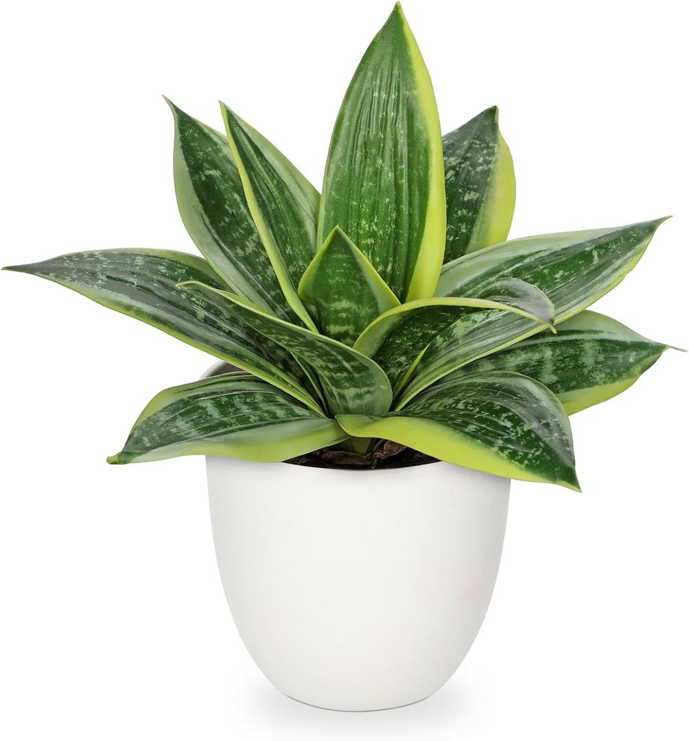 Hollyone Artificial Snake Plants 9" Faux Agave Succulent Plant Potted in White Pot Fake Sansevieria Aloe Tropical Plant for Desk Modern Office Home Bathroom Indoor Outdoor Decor (Green #3)