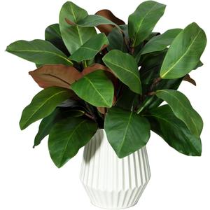 XONOR Artificial Magnolia Leaves Branches Fake Greenery Leaf Faux Magnolia Stems Leaves for Indoor Outdoor Vase Home Office Table Farmhouse Bathroom Decoration (6Pcs, 18'')