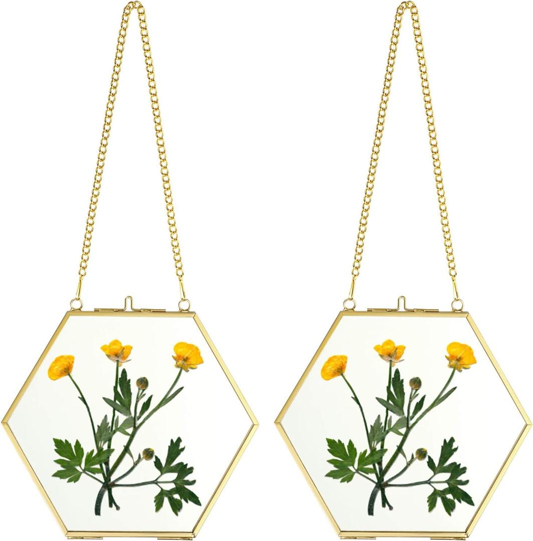 JUXYES Set of 2 Hexagon Wall Hanging Brass Frames for Pressed Flowers, Golden Glass Hanging Picture Artwork Display Frame, Double Glass Floating Style Gallery Wall Frame for Photo Picture Poster etc
