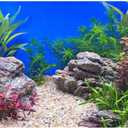 AWERT 48x18 inches Aquatic Plant Fish Tank Background Stone River Bed & Lake Aquarium Background Vinyl