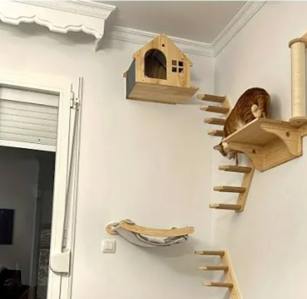 TQEW Cat Wall Furniture/Cat Wall Shelf Set with Sisal Scratching Posts, Bridge Ladders, Solid Wood The Item Does Not Match As Indicated in the Photo