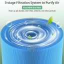 2 Pack 211i Max Replacement Filter Compatible with BLUEAIR Blue Pure 211i Max Air Purifier, Ture HEPA & Activated Carbon Replacement Filter, Blue