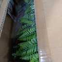 Artificial Ivy Boxwood Roll: 48"x120" UV Resistant Green Leaves Faux for Interior Backdrop,Garden and Indoor Outdoor Wall&Fence Covering Privacy, Party Wall Greenery Decor