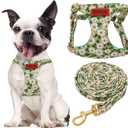 No Pull Dog Harness Adjustable Small Dog Harness and Leash Set, Lightweight and Soft Dog Harness No Choke Escape Proof Pet Harness Vest (Green Daisy, S)