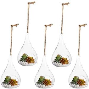 Juvale Teardrop Hanging Glass Terrarium - Air Plant Holder & Succulent Planter - Tea Light Candle Holder & Glass Globe for Air Plants - Pack of 5-3 x 5.5 in
