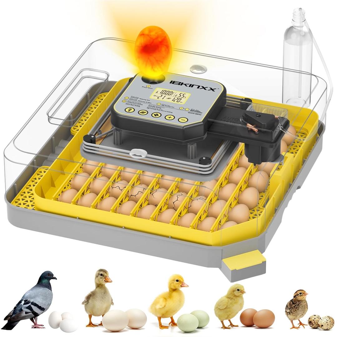 Incubator for Hatching Eggs-48 Egg Capacity, Auto Egg Turner & New Auto Precision Humidity Control System, 360 Clear Viewing for Chicken, Duck and Quail Eggs