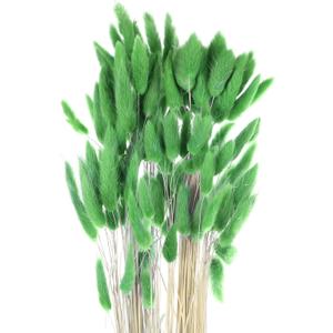 MECCANIXITY 120pcs Natural Rabbit Bunny Tails Dried Flowers 24" Mini Pampas Grass Lagurus Ovatus Bunch for Floral Wedding Decor Christmas, Dark Green