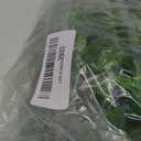 Artificial Plants, Faux Plastic Bean Flowers Shrubs Fake Grass Leaves Simulation Greenery Bushes Indoor Outside Home Garden Office Yard Verandah 12 Pack