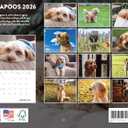 Cavapoo Calendar 2026 Wall Monthly Cavapoos Gifts For Cavapoo Lovers Women Men Mom Dad | American Made In The USA