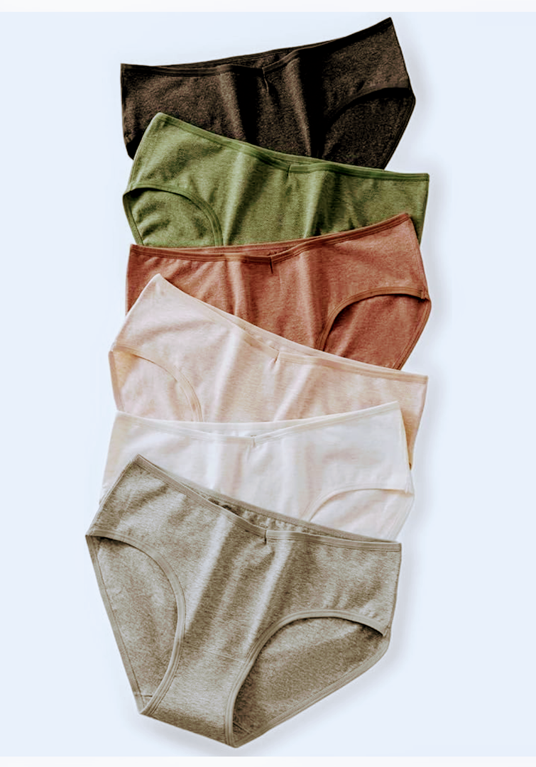 Cotton Underwear for Women Stretch Bikini Hipster Panties Breathable Low Rise V-Wasited Moisture Wicking Briefs 6 Pack