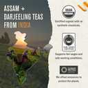 Numi Organic Breakfast Blend Tea, 100 Tea Bags, Assam, Ceylon & Darjeeling Black Teas, Caffeinated