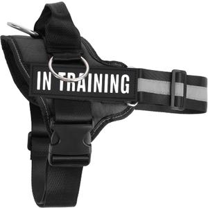 Essential Dog Harness with 3 Leash Clips - No-Pull, Adjustable, Comfortable Pet Vest Harness for Small to Large Dogs - Easy On, No Choke, Reflective, Padded Harness for Walking and Training (S(Neck:14-18",Chest:16-21"), Black)