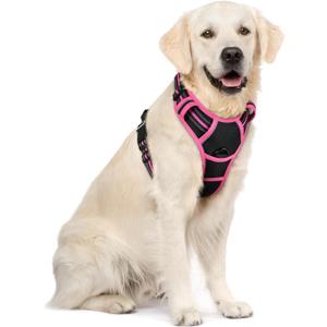 rabbitgoo Dog Harness No Pull with 2 Leash Clips, Adjustable Soft Padded, Reflective Oxford No Choke Pet Vest with Easy Control Handle for Large Dogs, Black & Hot Pink, XL