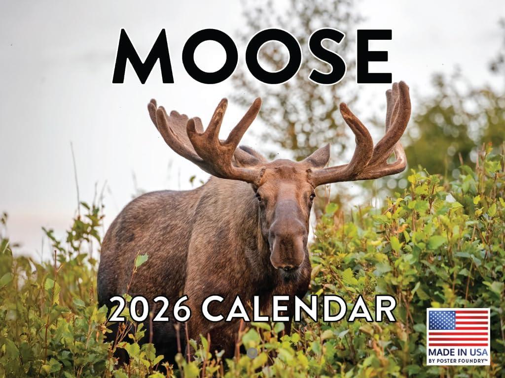 Moose Calendar 2026 Monthly Wall Hunting Gifts for Hunters Men Calender 12 Month | American Made In The USA
