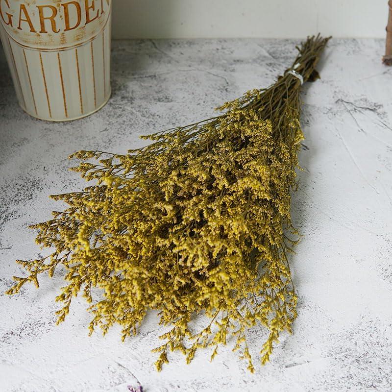 Preserved Flower Caspia Flower Bouquet,Pure Natural Flowers,Flower Arrangement Materials,2.6 Ounce,17 Inches,for Home Decoration, Wedding Decoration (Yellow)