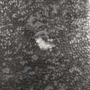 Frigidaire, 4.5 cu ft Refrigerator, Stainless Steel Door, Platinum Series